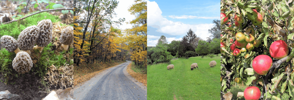 Town of Clayton Photos