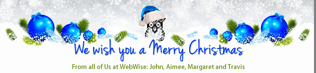 Merry Christmas from WebWise image